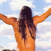 6811klein (43k image)