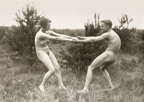 Riebi15 (133k image)