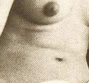 dekenklein0 (49k image)