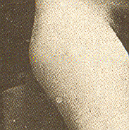dijkleintje0 (57k image)