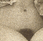 kapjeklein (51k image)