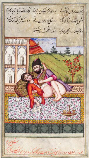 L0033250 Persian couple copulating