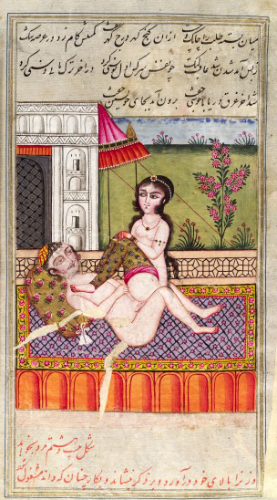 L0033256 Persian couple copulating