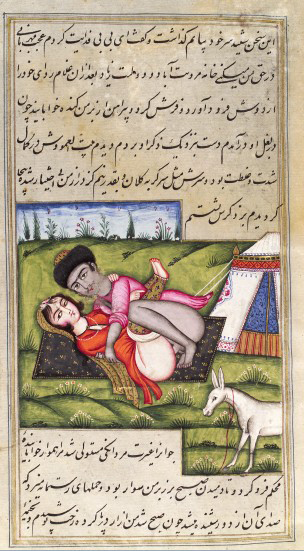 L0033242 Persian couple copulating