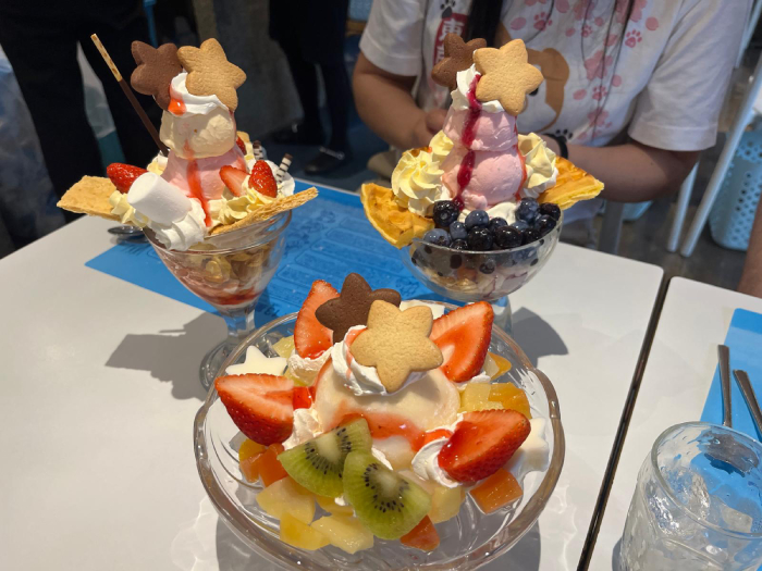 Afscheid Japan 3